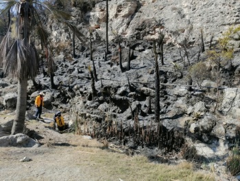 Puebla es la tercera entidad con más incendios forestales