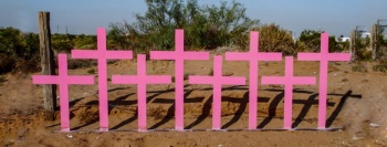 Van por Registro Nacional de Víctimas Indirectas de Feminicidio