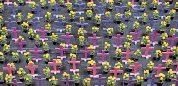 Feminicidios superan tres veces los índices oficiales