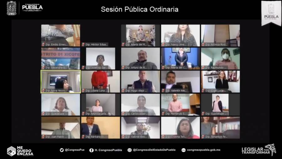 Aprueba, Pleno de la LX Legislatura, reformas al C&oacute;digo Penal para endurecer penas contra el maltrato animal