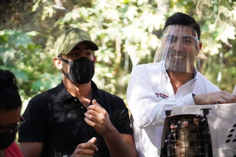 Armando Ayala Robles visita refugios de animales en Ensenada, BC