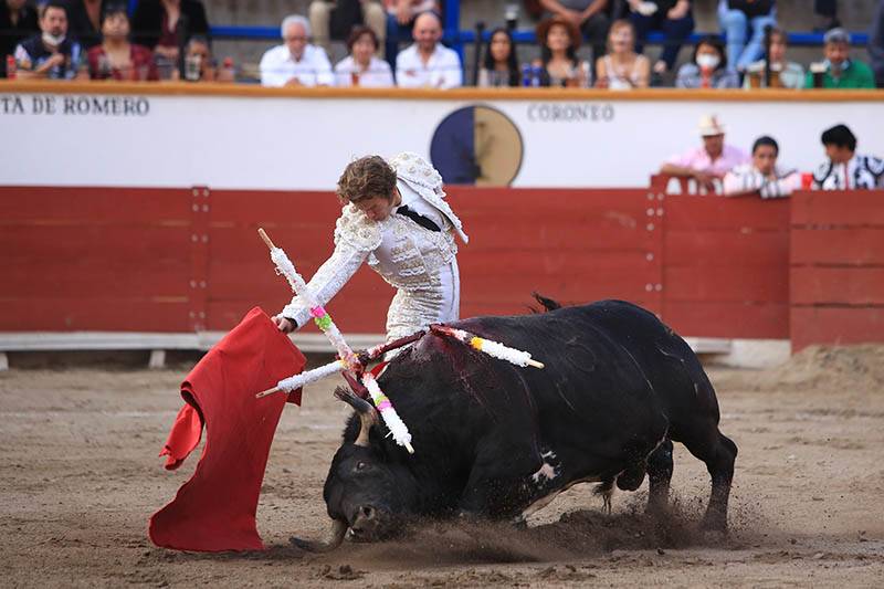 Barbosa, a favor de regular corridas de toros y peleas de gallo