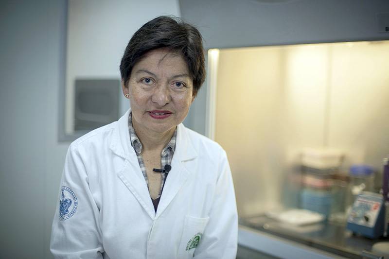 Pide Lilia Cedillo responsabilidad social para frenar pandemia