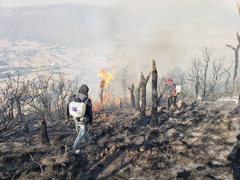 Puebla, séptima entidad a nivel nacional con más incendios forestales