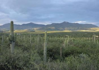 Declaran al Valle de Tehuac&aacute;n-Cuicatl&aacute;n, Bien Mixto Patrimonio Mundial