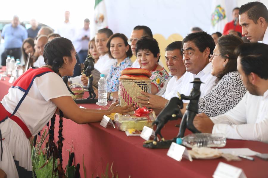 Con Festival De Matanza, Barbosa Inaugura La Temporada De Mole De ...