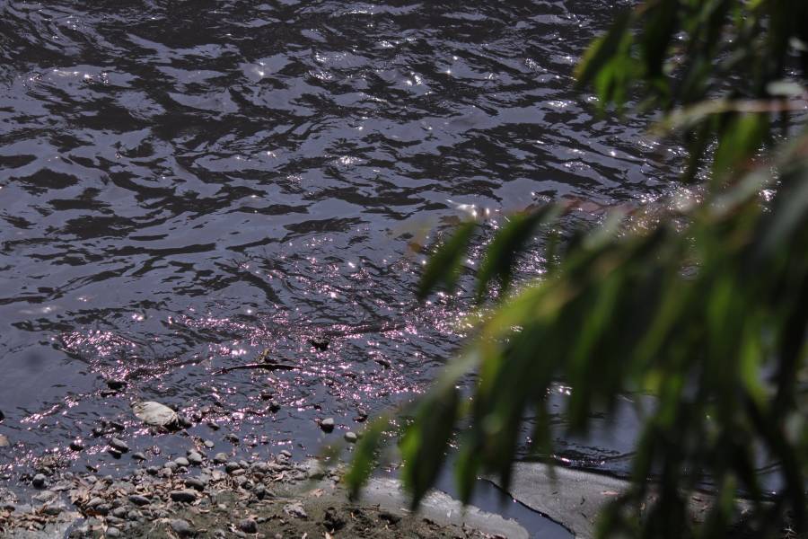 Profepa sanciona contaminación del río Atoyac; olvida a textileras