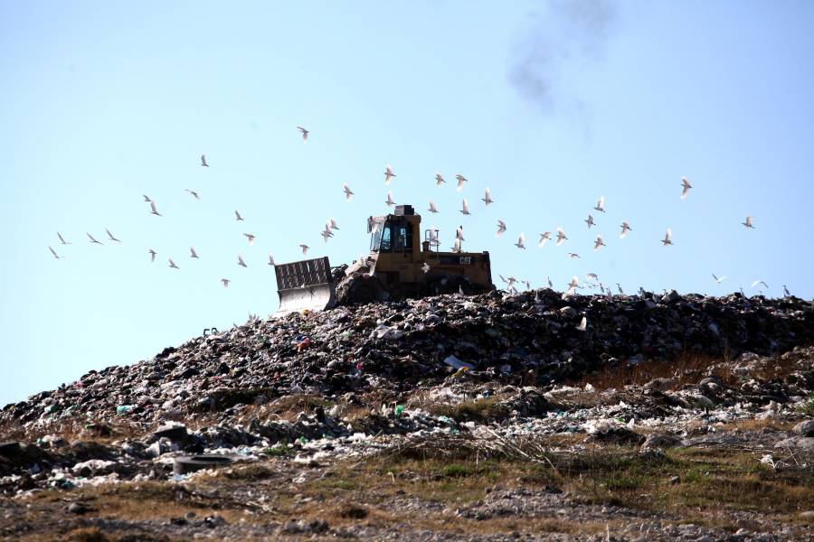 Edil de Oaxaca buscará a Barbosa para que permita traslado de basura