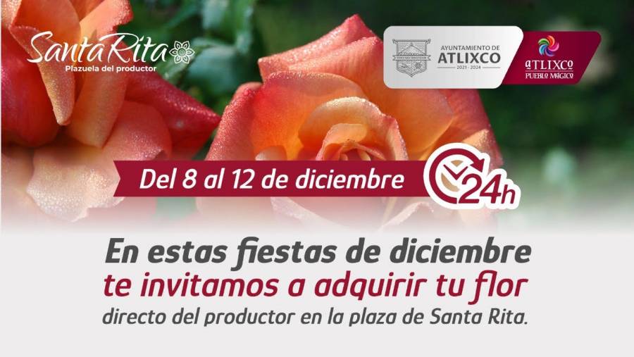En esta temporada, adquiere tus flores y rosas en la plazuela del productor Santa Rita en Atlixco
