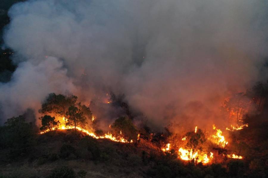 Registran 319 incendios forestales durante 2022