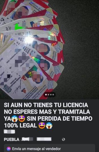 Licencias falsas para conducir alcanzan hasta los mil 600 pesos