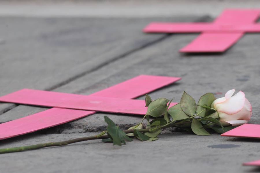 Feminicidios dejan a 17 menores en la orfandad en Puebla