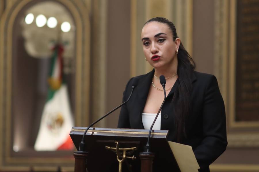 Va el PAN por inhabilitaci&oacute;n por ejercer violencia obst&eacute;trica