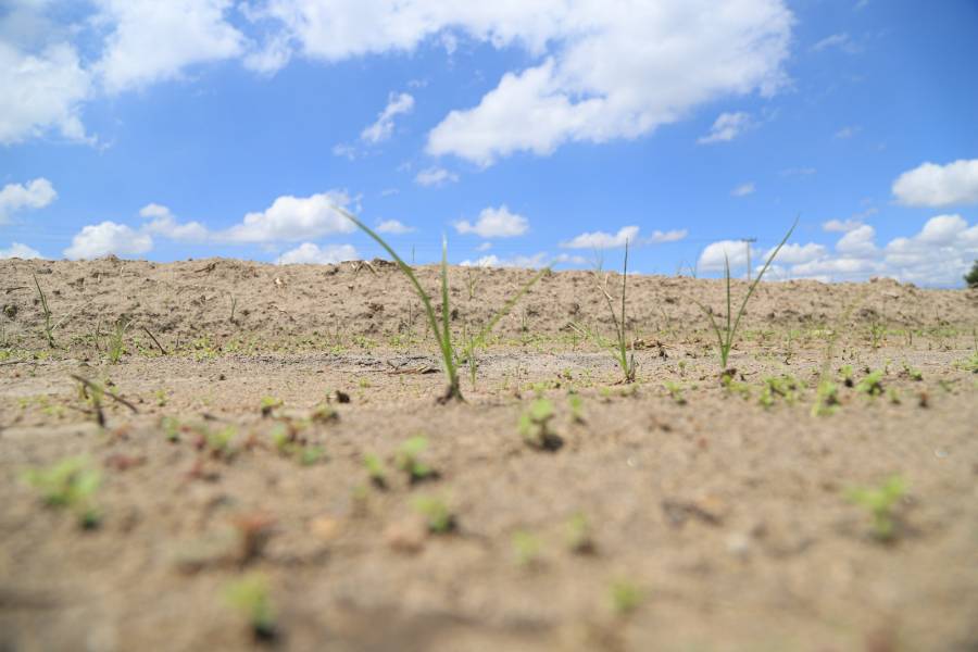 Padecen sequía 57 municipios poblanos