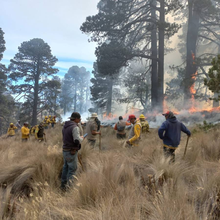 Incendio forestal en Pico de Orizaba está controlado: Beatriz Manrique
