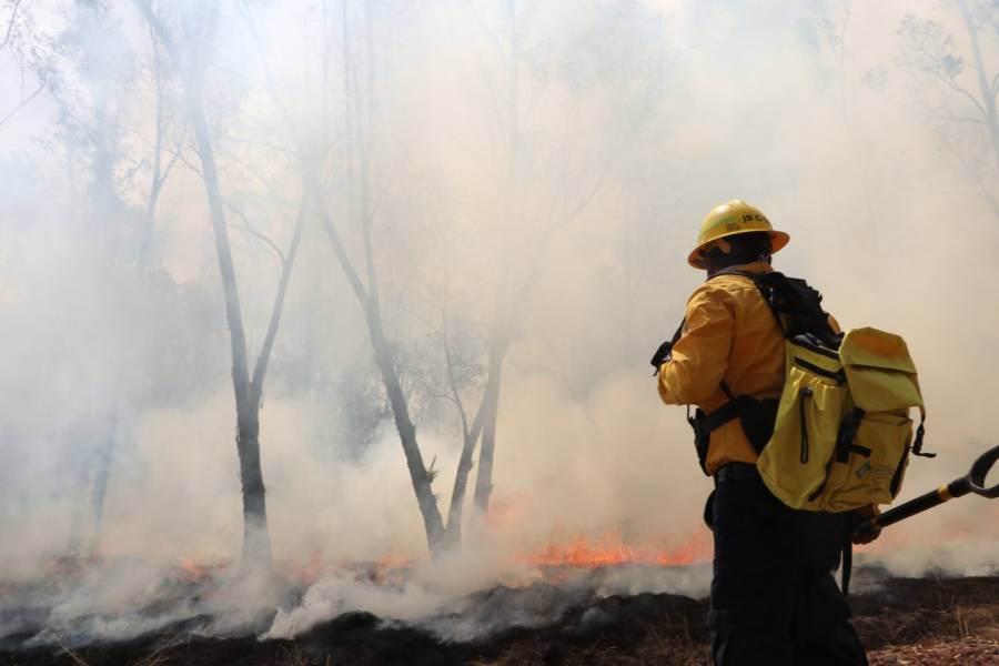 Puebla, cuarto estado a nivel nacional con más incendios forestales