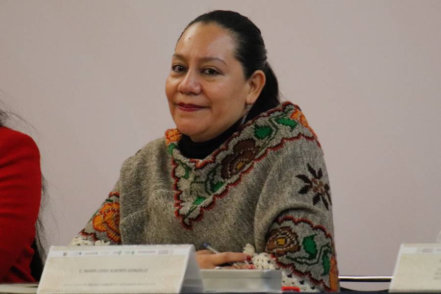 Pintan bardas para promocionar a Luisa Albores como gobernadora de Puebla