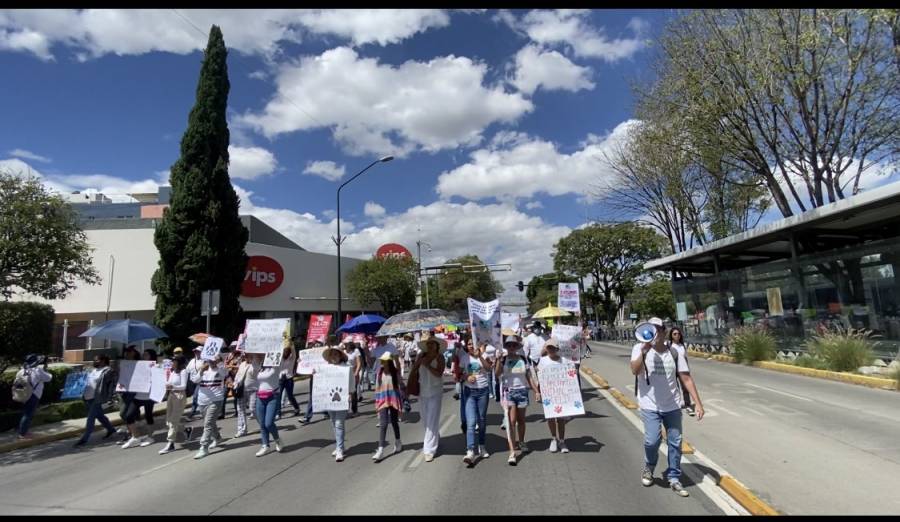 Movimiento Animalista de Puebla protestó por justicia ante casos de maltrato animal