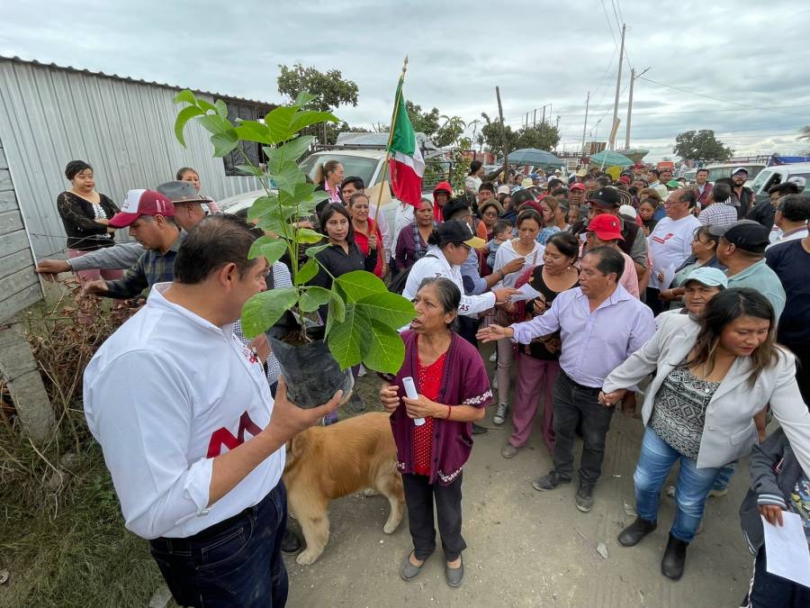 Por amor a puebla y con la visión humanista de AMLO, Armenta intensifica jornadas forestales