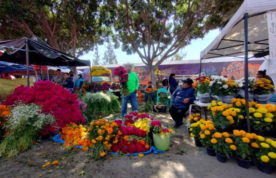 Panteón de El Saucito se llena de vida en Día de Muertos