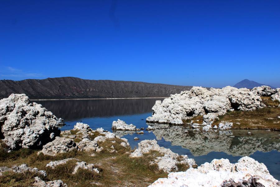 Tras daños en Laguna de Alchichica, alcalde ofrecía 500 nopales