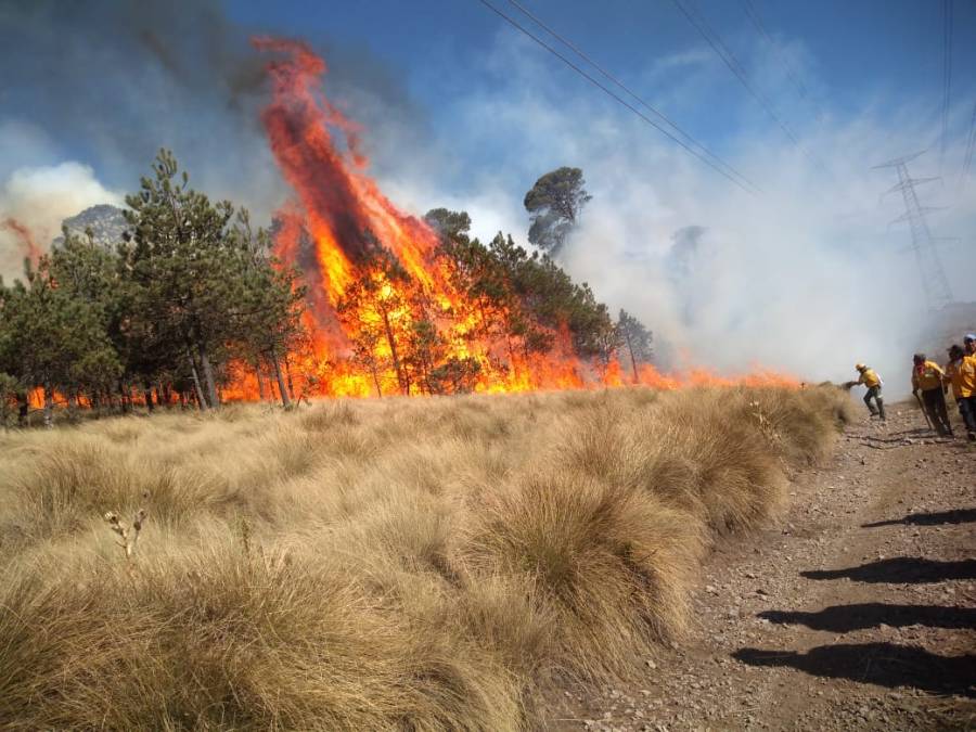 Puebla en el 7° lugar de incendios forestales: Conafor
