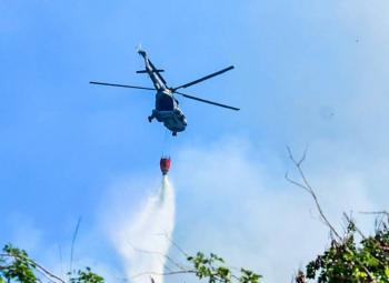 Conafor: Se registran 95 incendios forestales activos en México