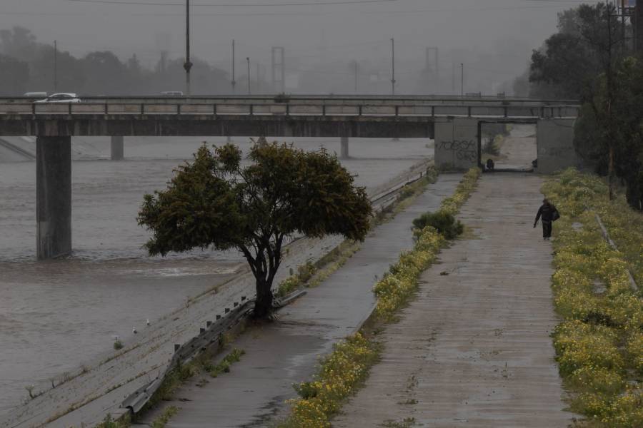Pronóstico y afectaciones en México tras entrada del frente frío 44