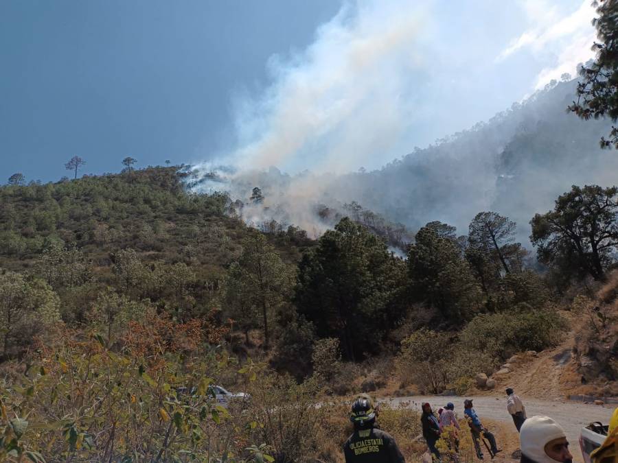 Mueren dos brigadistas que combatían incendio forestal en Libres