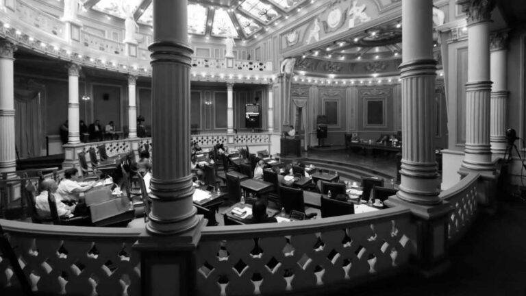 Regula Congreso servicio de grúas y corralones