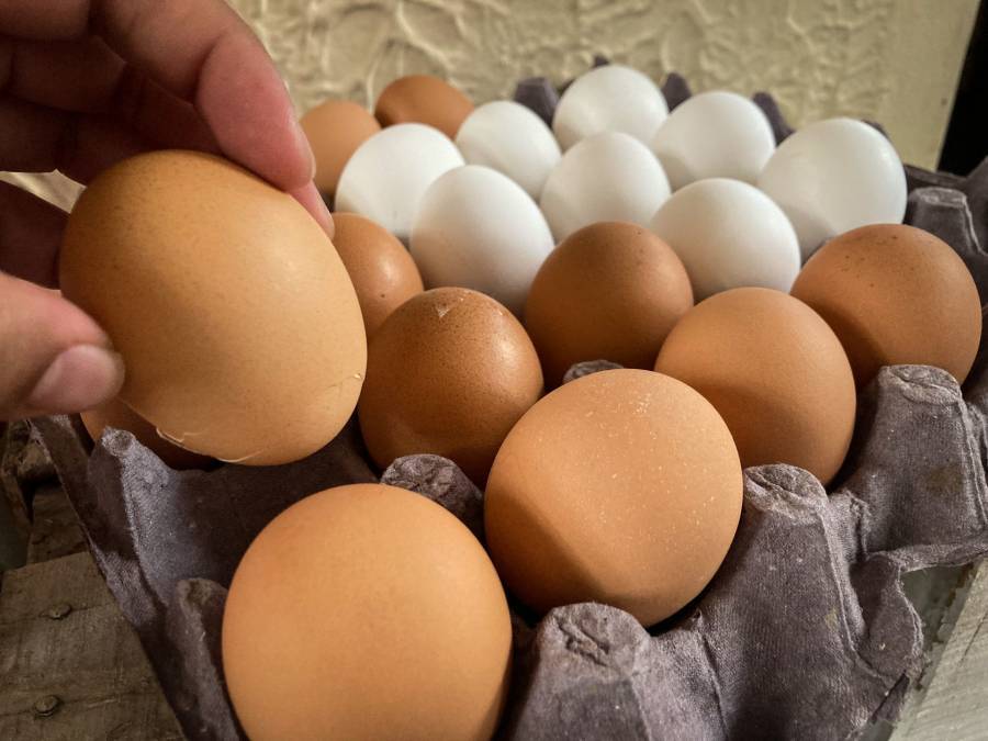 La inflación impulsa a los consumidores a comprar huevos por unidad en lugar de por kilogramo, señaló Anpec