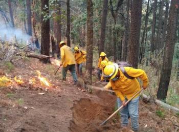 Refuerza Probosque trabajo interestatal para la prevención y combate de incendios forestales