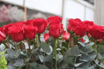 Lidera Edomex producción nacional de flor para el Día de las Madres