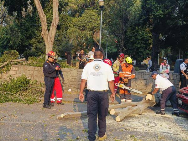 Vientos generan polvaredas en la zona metropolitana de Puebla