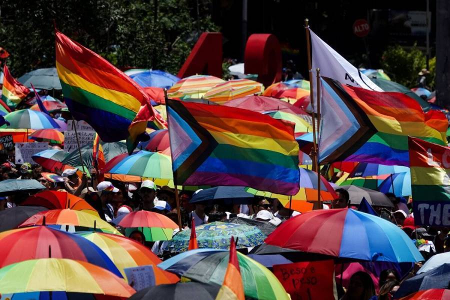 Crucial, desechar ideas erróneas contra población de orientación sexual no normativa: Segob 