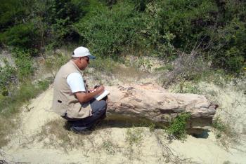 Laboratorio de Paleobiología de la BUAP: estudia el origen, la evolución y extinción de la flora y fauna de México