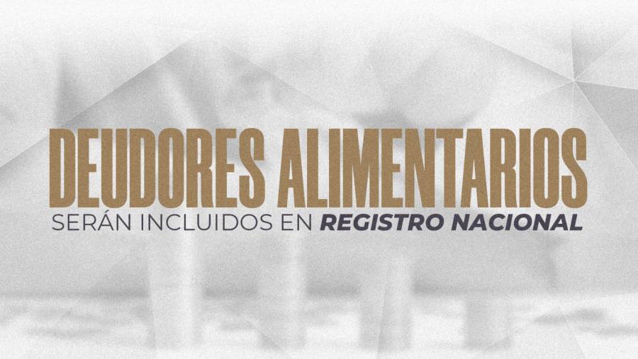 Deudores Alimentarios Serán Incluidos En Registro Nacional Avala