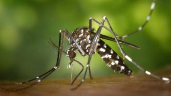 Mosquito Tigre y el Virus del Dengue se extienden por 18 países