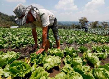 Colombia crea tribunal para resolver disputas de tierras