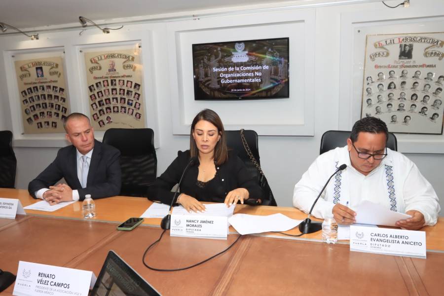 Impulsa Congreso creación de Fiscalía en Investigación de Delitos contra Menores