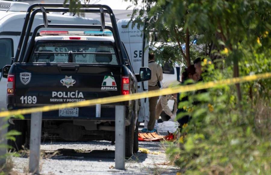 Hallan cuerpos desmembrados en 9 bolsas negras en León, Guanajuato