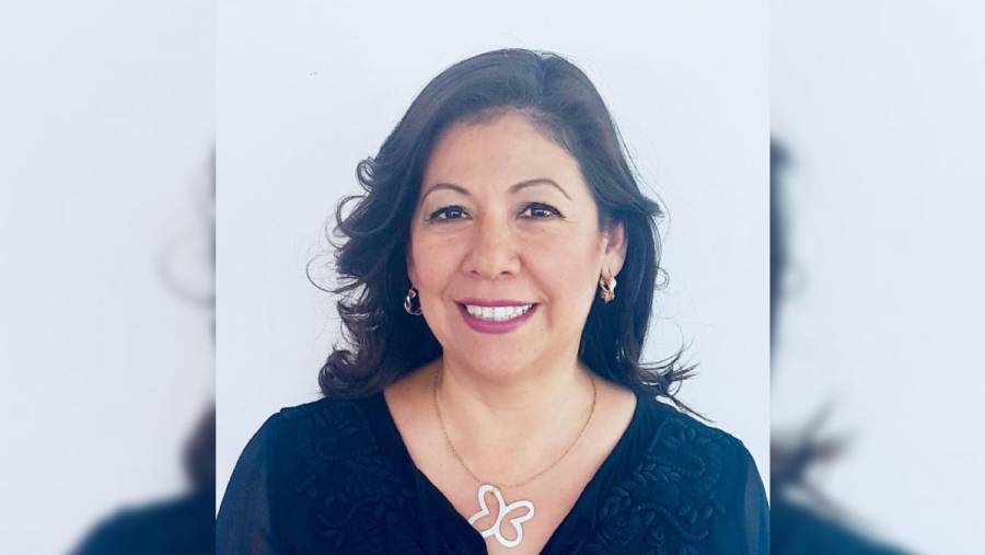 Laura Artemisa García nueva coordinadora de Morena en el Congreso: Olga Romero