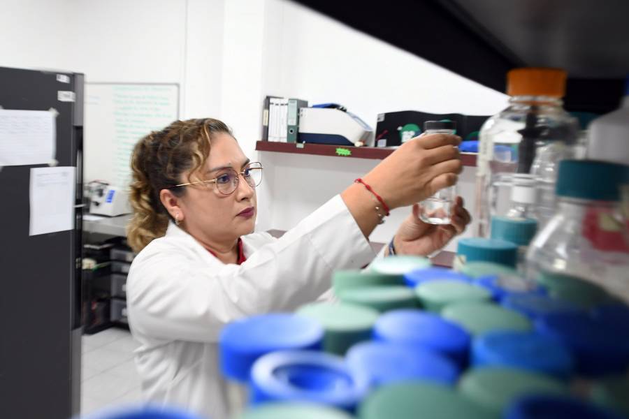 Investigadora BUAP estudia factores de virulencia en bacteria causante de diarreas infantiles