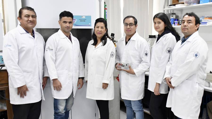 ICUAP diseña biomaterial capaz de estimular la regeneración de tejido óseo