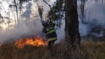 Provocaron siete de cada diez de los incendios en los últimos 15 días: Alejandro Armenta