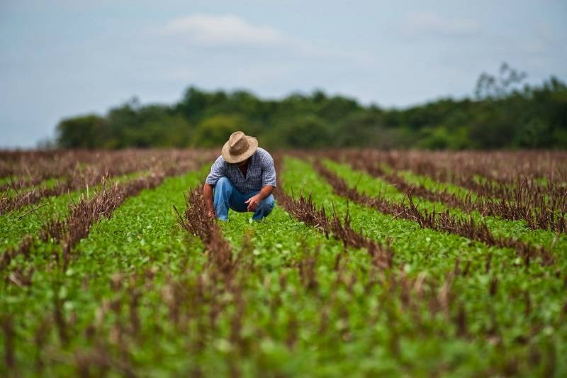 Gobierno de Puebla invertirá 634 mdp en el campo