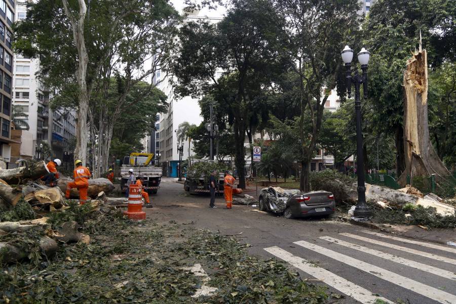 Cómo el cambio climático convirtió la llovizna de Sao Paulo en una tormenta