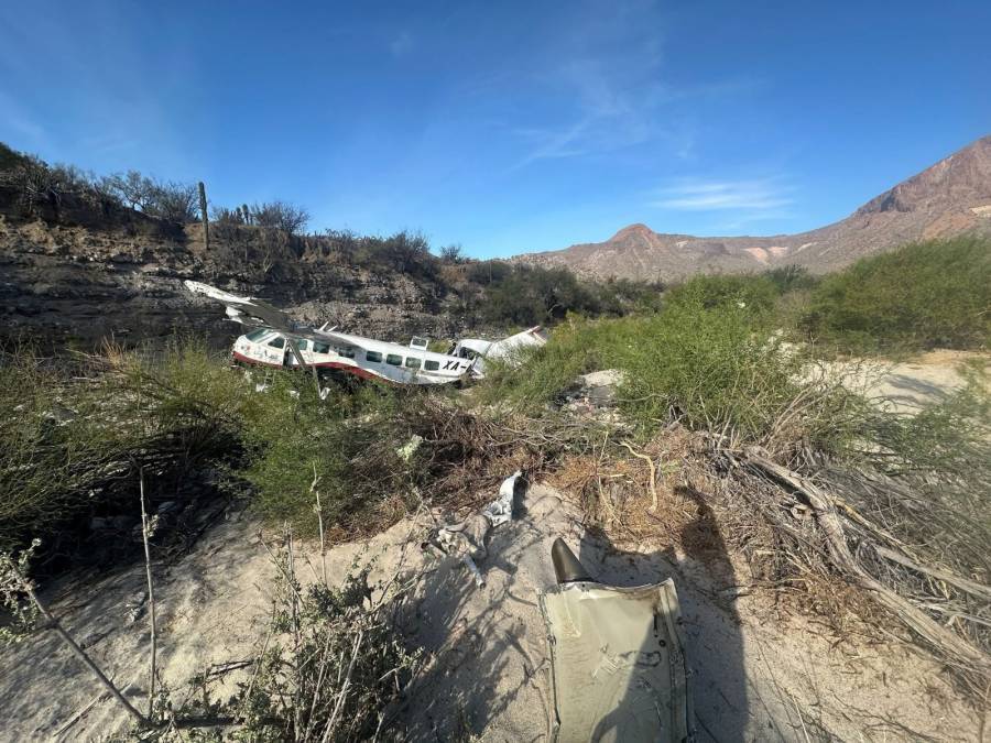 Avioneta se desploma en el norte de Baja California Sur; no hay víctimas fatales