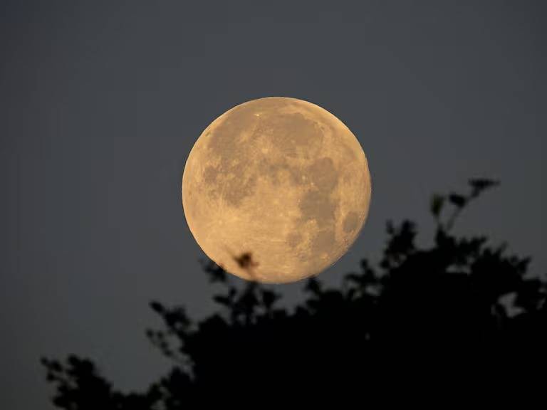 La Luna de Flores iluminará el cielo de México este 12 de mayo: ¿a qué hora verla?