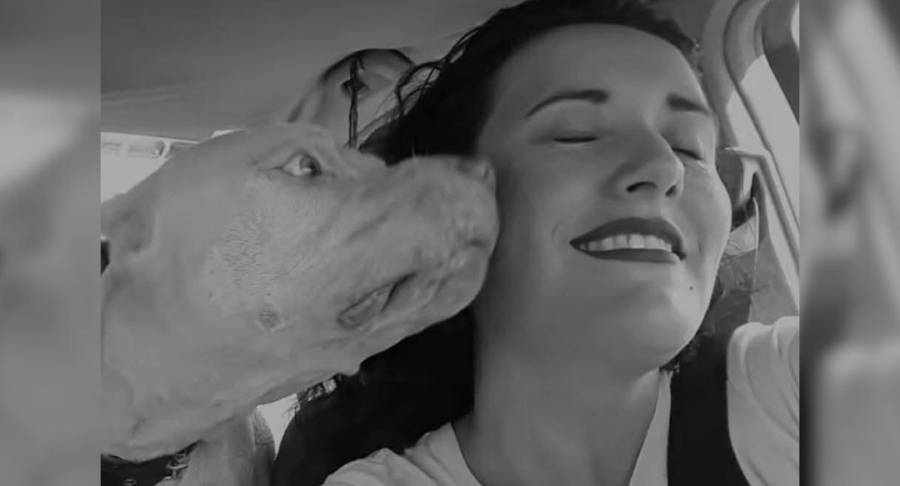 Hallan sin vida a María Dolores Patiño Moreno, activista por los derechos de los animales en Sinaloa